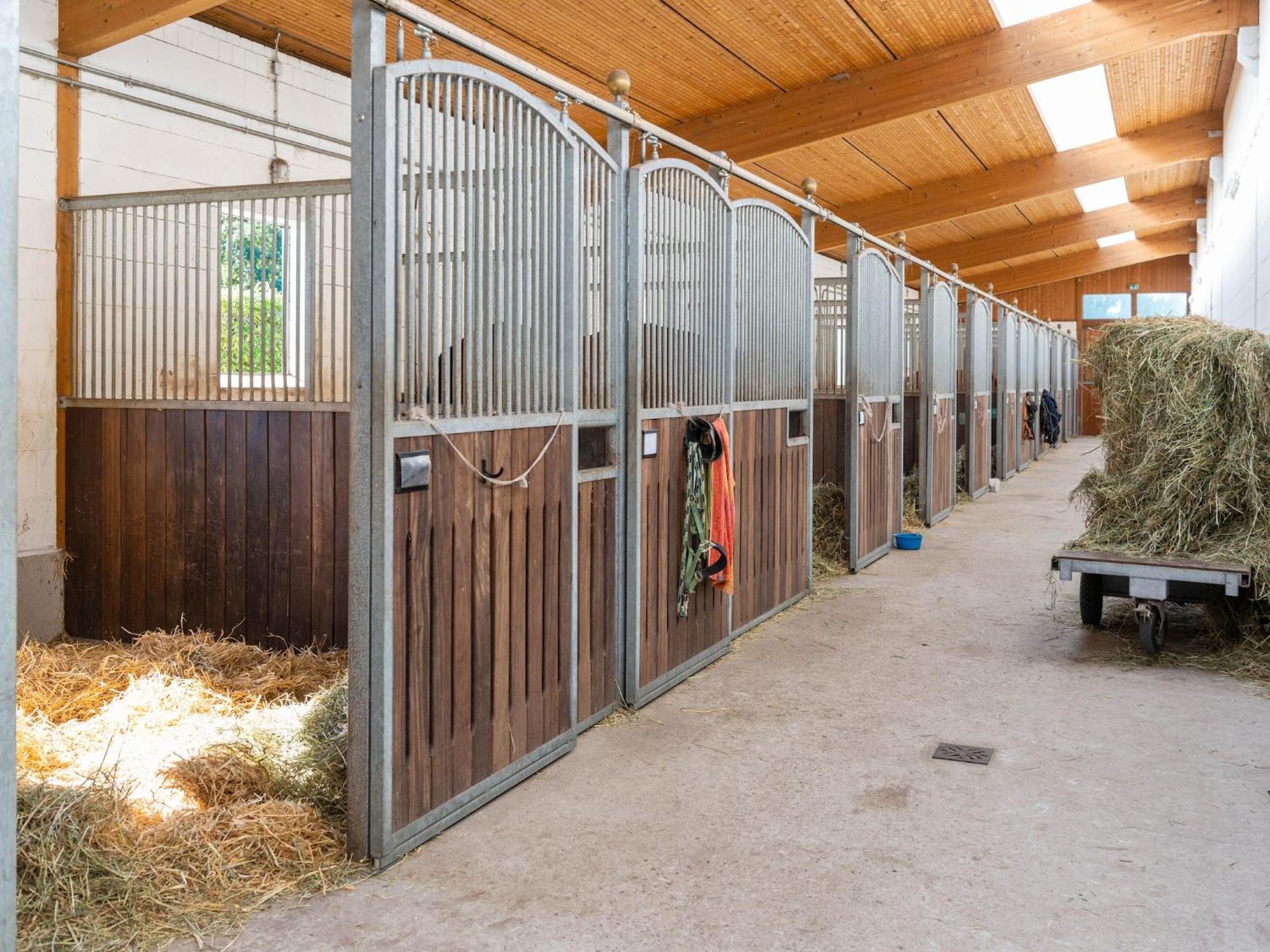 Holiday Home On A Horse Farm In The L Neburg Heath Eschede Exterior photo